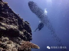 <b>����ƽ����������Ǳˮģʽ-�ͱ�Ǳ/����Ǳ, ʯɽ/����ʽǱˮ</b>