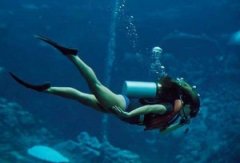 �ڴ���ȵ�ˮ��ֱ������