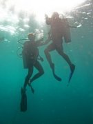 �����Ľ�ѵ����ǡ����Э��