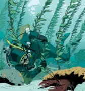 <b>�����Ľ�ѵ�����������Ŀֻ�</b>