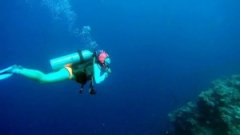 ��Ǳˮ��6�֡�������