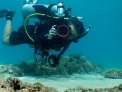 ���ָò��ô������ˮ��