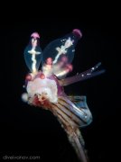 ˮ����Ӱ΢������59��