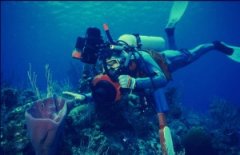 Ǳˮ��Ӱ�ĺ���ǰ��-����ƪ