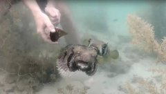 ��Ƶ | ������ˮ�׷����������㣬Ҳ�������ҳ�….