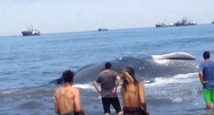 ��������20�׾޾���ǳ ����Э������