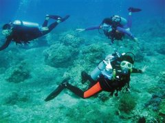 ����Ǳˮ��θ��С�Ǳ�̡���