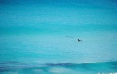 �Ĵ������������ֺ��������ټ�ƵƵ ��̲���ȷ��