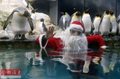 ��������԰”ʥ������” ������������