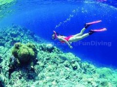 �����Ĵ�Ů��Ǳˮ��������