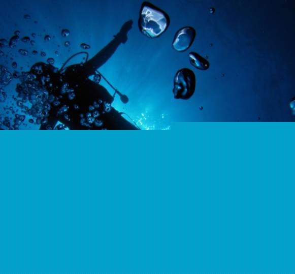 ������Ϊʲôϲ��Ǳˮ��������ƪ������Ͷ���