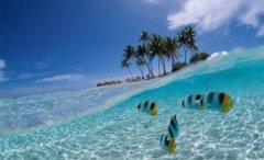 11�£������������������Ĵ�Ǳ��